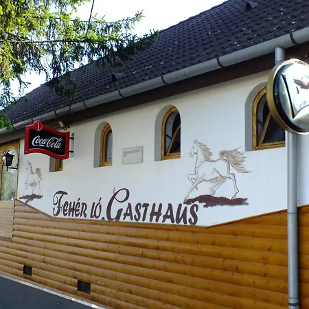 게스트하우스 Feherlo Vendeghaz & Restaurant