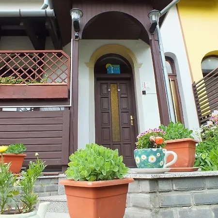 Pensjonat Feherlo Vendeghaz & Restaurant Bük