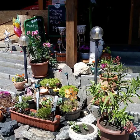 Pensjonat Feherlo Vendeghaz & Restaurant Bük