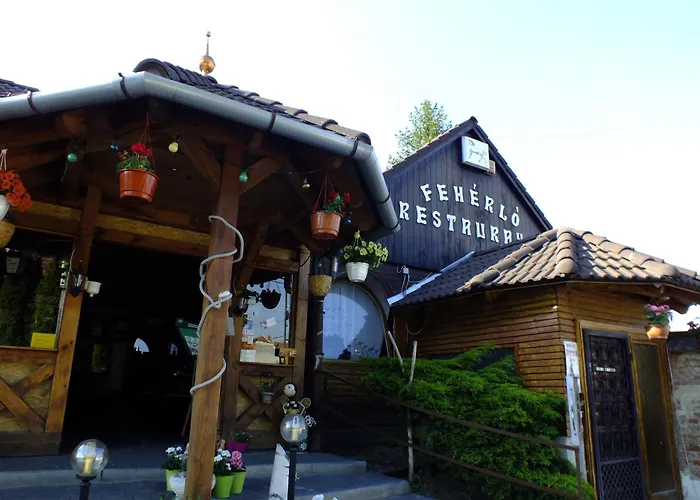 Gæstehus Feherlo Vendeghaz & Restaurant 4*
